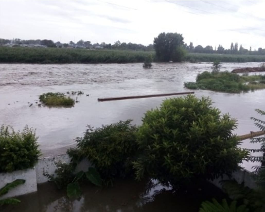 City of Johannesburg tackles climate change through three webinars