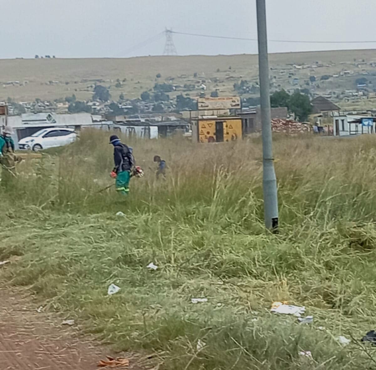 City Parks cleans up overgrown Parks and Roads