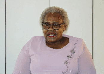 Minister of Social Development, Nokuzola Sisisi Tolashe (Image: SASSA)