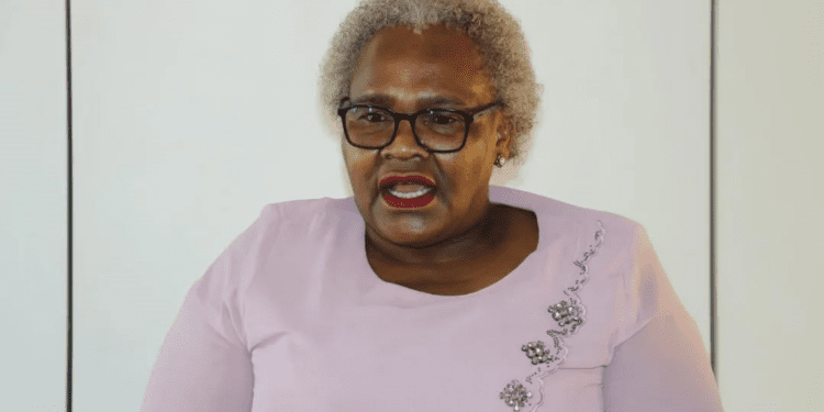 Minister of Social Development, Nokuzola Sisisi Tolashe (Image: SASSA)