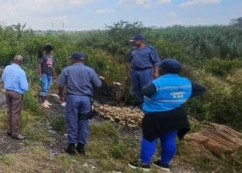Operation Shanela 2 nets 50 in Ennerdale and Lenasia South