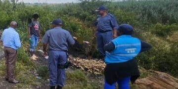 Operation Shanela 2 nets 50 in Ennerdale and Lenasia South