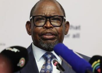 Godongwana confirms social grants increase in April