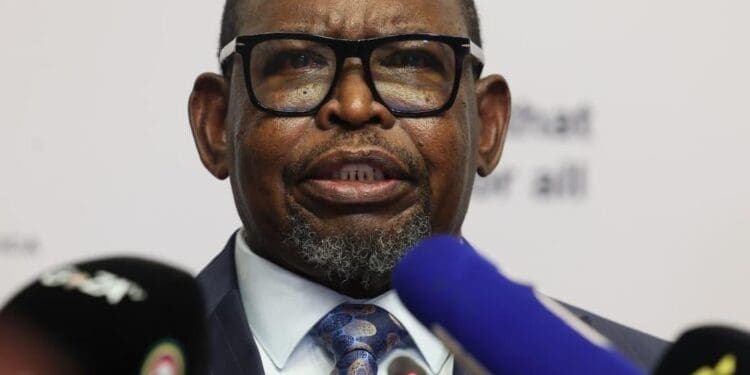 Godongwana confirms social grants increase in April