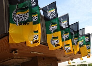 ANC distances itself from misuse of food parcels for political publicity