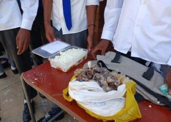 Finetown and Lenasia learners supplement school lunches with leftover cooking oil from fast-food outlets