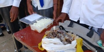 Finetown and Lenasia learners supplement school lunches with leftover cooking oil from fast-food outlets