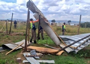 “We will not tolerate land invasion,” says JMPD as it removes shacks in Ennerdale