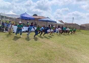 Local schools answer call to Go Green ahead of Human Rights Day