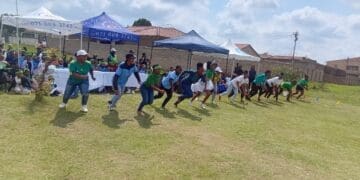 Local schools answer call to Go Green ahead of Human Rights Day