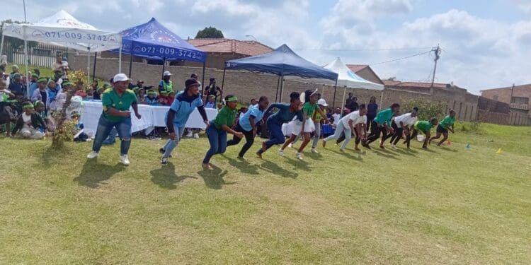 Local schools answer call to Go Green ahead of Human Rights Day