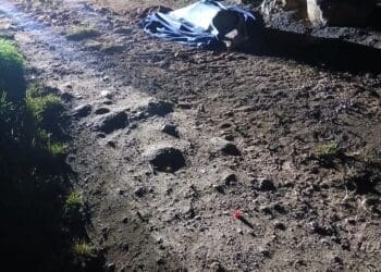 Police forensic teams at the scene in Mazibuko Park (Image: Finetown Radio Station)