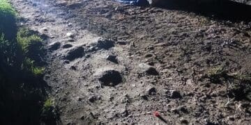 Police investigate after man shot dead in Finetown