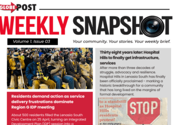 Weekly Snapshot: Globe Post Newsletter