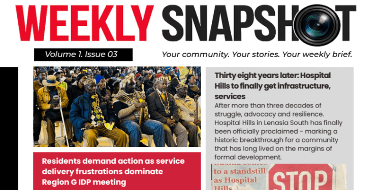 Weekly Snapshot: Globe Post Newsletter