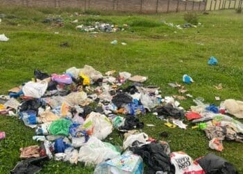 Dumping crisis in Lenasia South raises health concerns