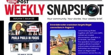 Weekly Snapshot: Globe Post Newsletter