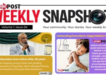 Weekly Snapshot: Globe Post Newsletter