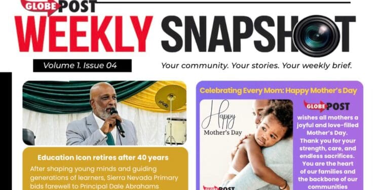 Weekly Snapshot: Globe Post Newsletter