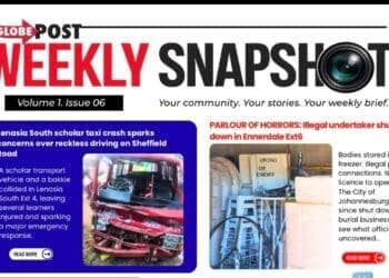 Weekly Snapshot: Globe Post Newsletter