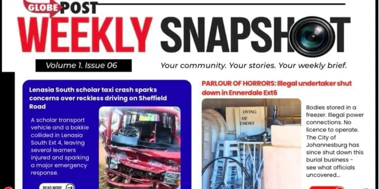 Weekly Snapshot: Globe Post Newsletter