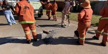 Operation Restore back in Ennerdale
