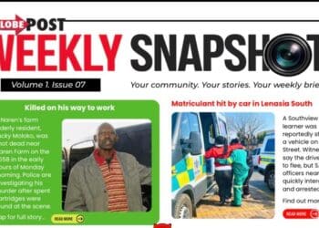 Weekly Snapshot: Globe Post Newsletter